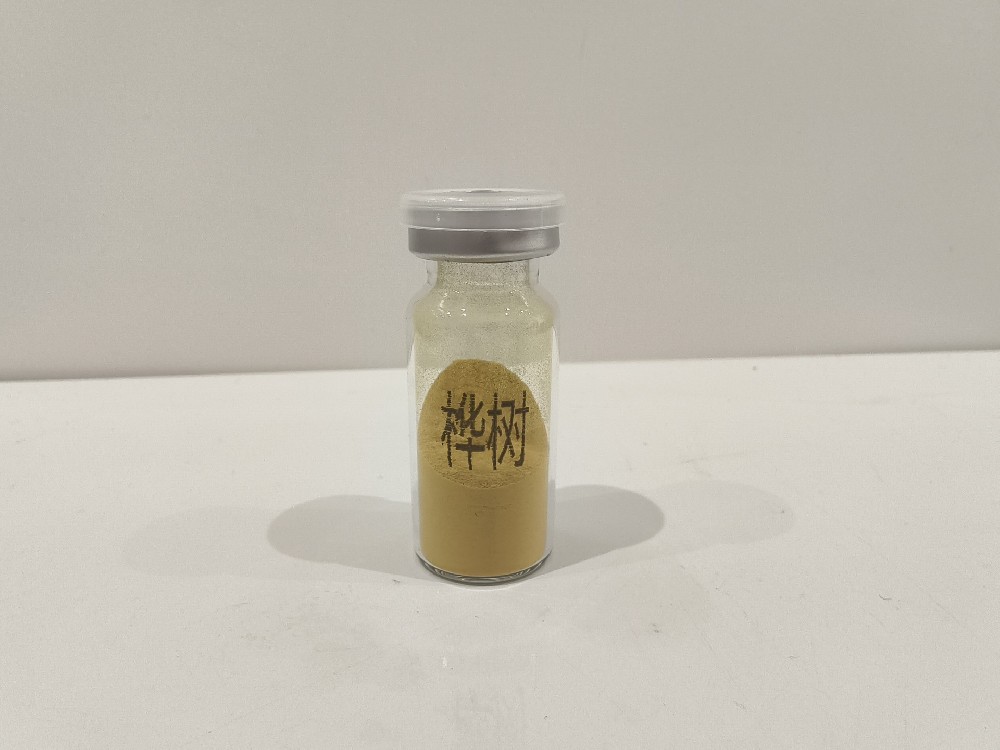 桦树花粉  Betula platyphylla Suk.