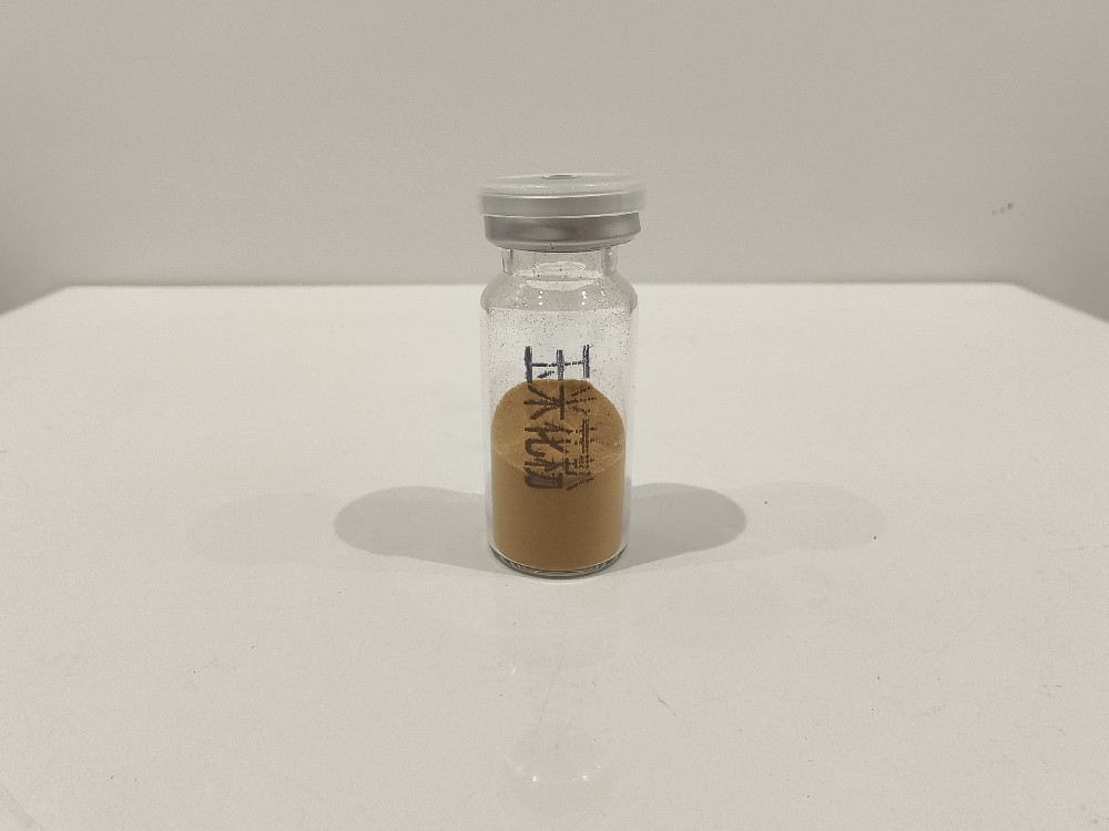 玉米花粉  Zea mays L.