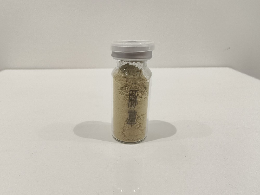 豚草花粉  Ambrosia artemisiifolia L.