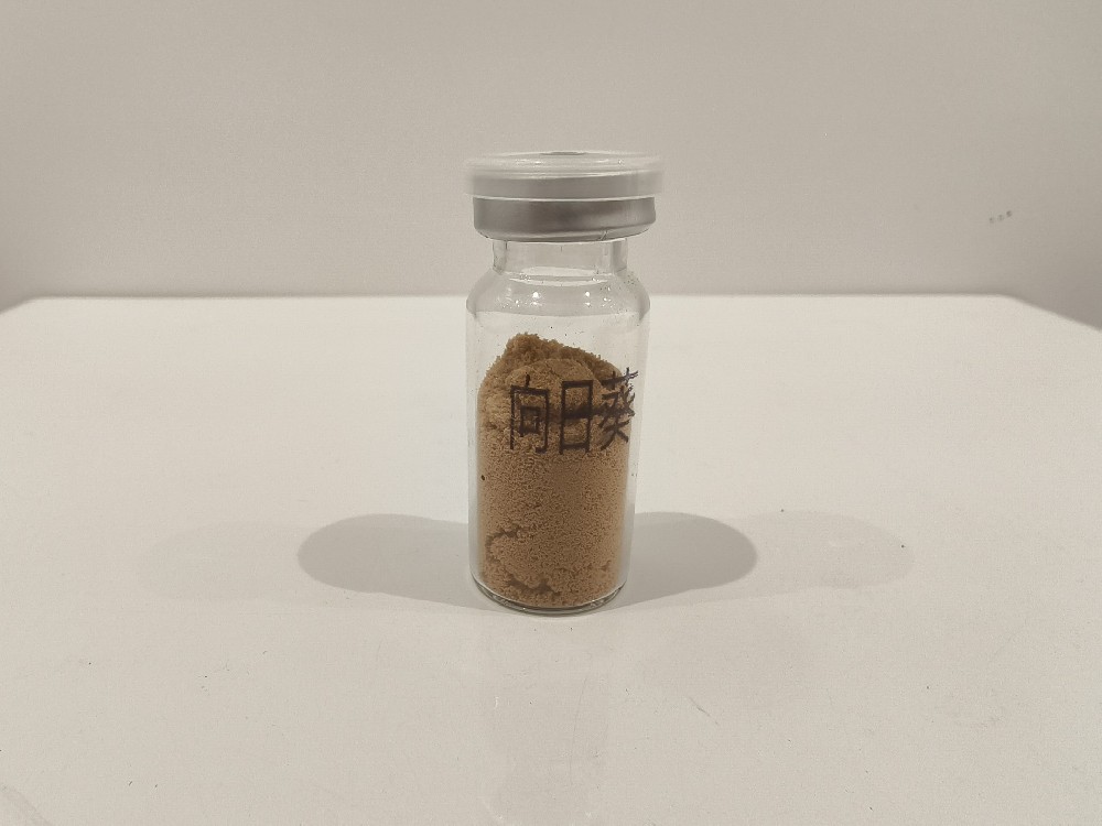 向日葵花粉  Helianthus annuus L.