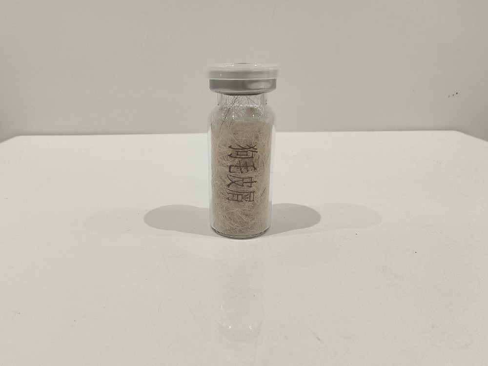 狗毛皮屑  Canis familiaris