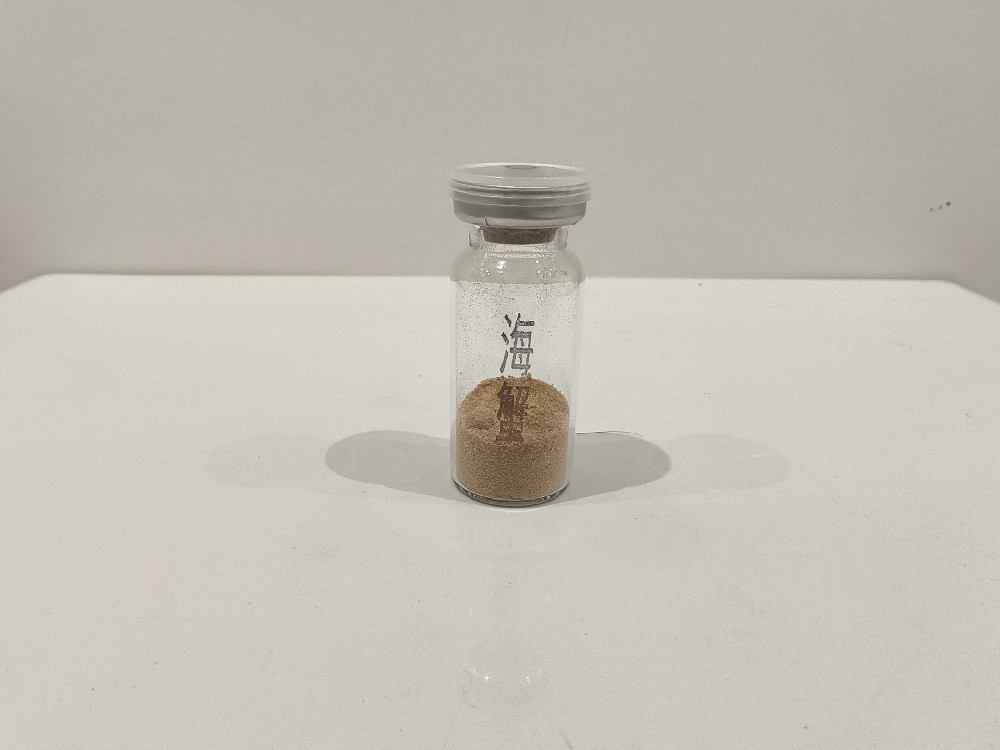 海蟹  Cancer marinus