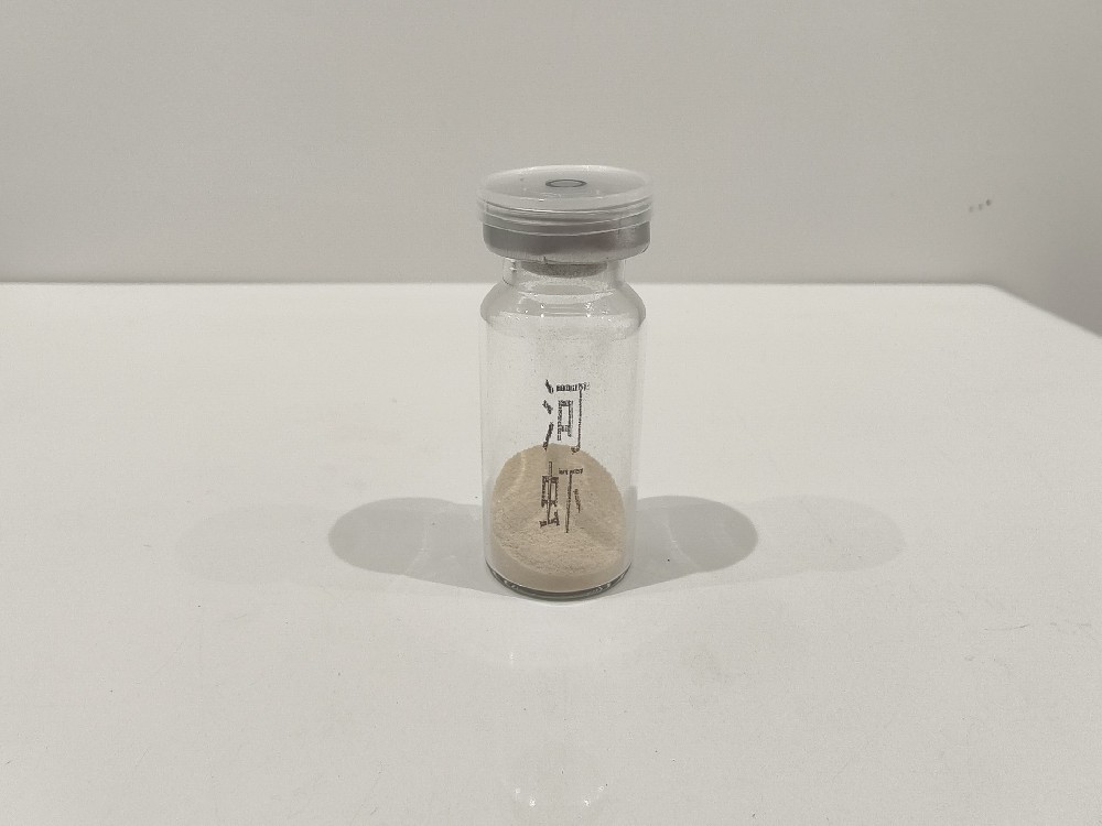 河虾  Caridae fluviatiles