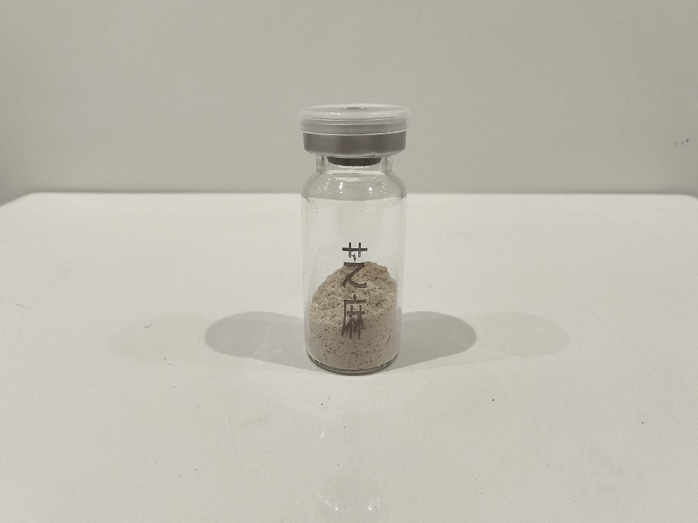 芝麻  Semen Sesami indici